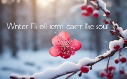 冬梅护理心灵技巧是什么？现在学还来得及吗？