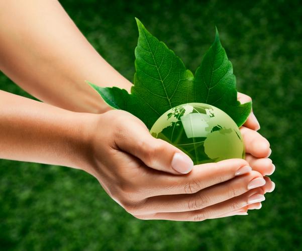 创意生态有-图1