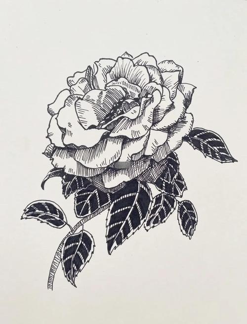 花创意线描-图1 花创意线描-图1