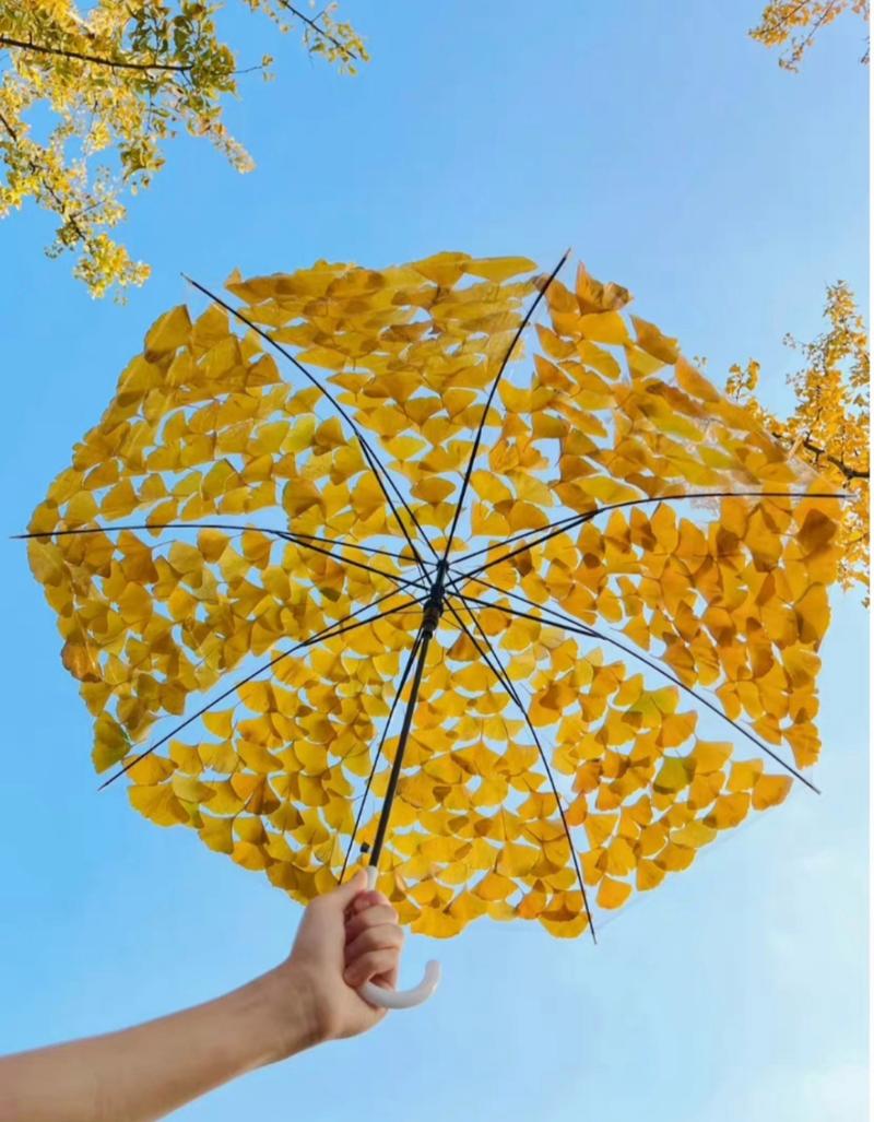 创意雨伞照片,藏着哪些惊喜?-图1 创意雨伞照片,藏着哪些惊喜?-图1