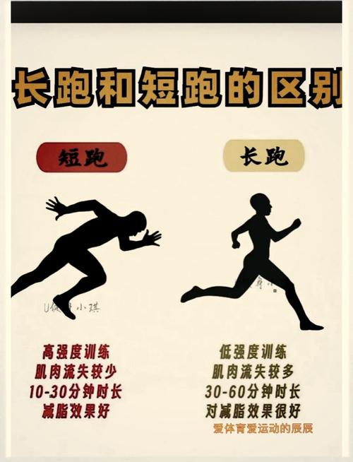 4000米长跑技巧-图1 4000米长跑技巧-图1