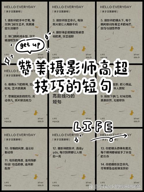 比喻艺术技巧高超-图2 比喻艺术技巧高超-图2