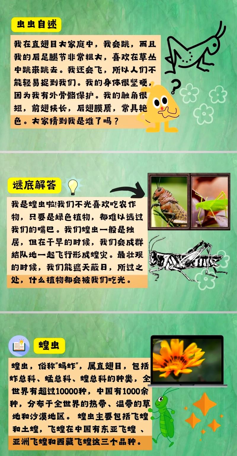 捉蚂蚱的技巧和方法-图3 捉蚂蚱的技巧和方法-图3