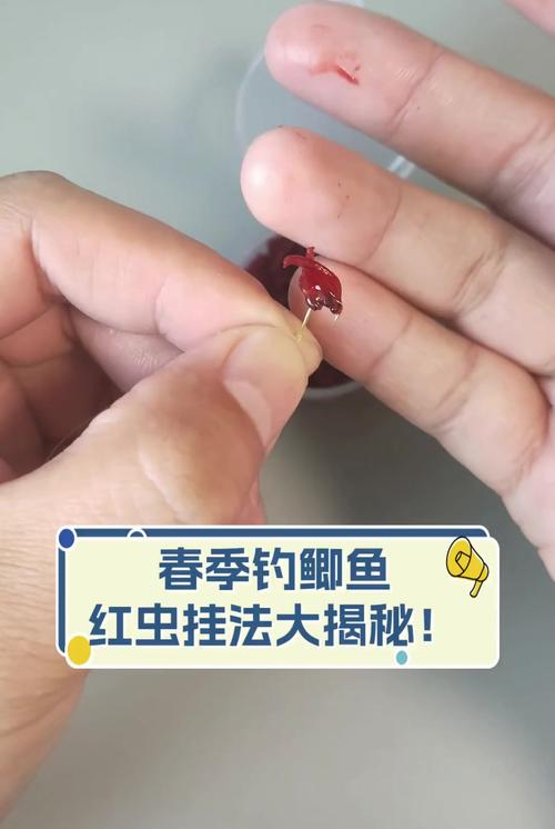 红虫钓鲫鱼技巧-图1 红虫钓鲫鱼技巧-图1