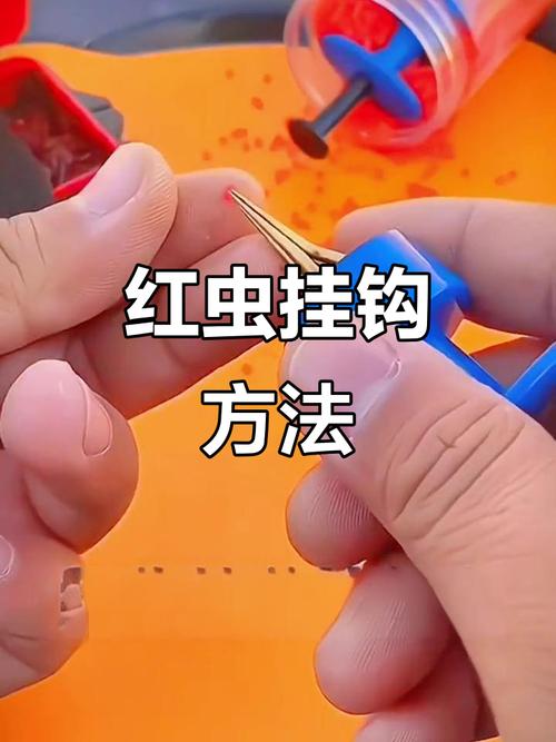 红虫钓鲫鱼技巧-图2 红虫钓鲫鱼技巧-图2