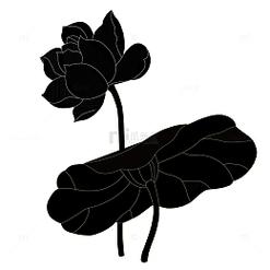 图形创意荷叶-图2 图形创意荷叶-图2