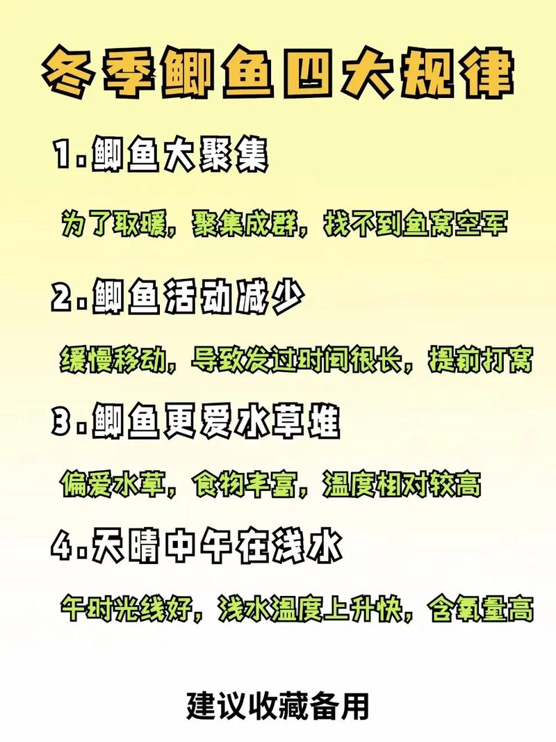 冬钓鲫鱼的八点技巧-图2 冬钓鲫鱼的八点技巧-图2