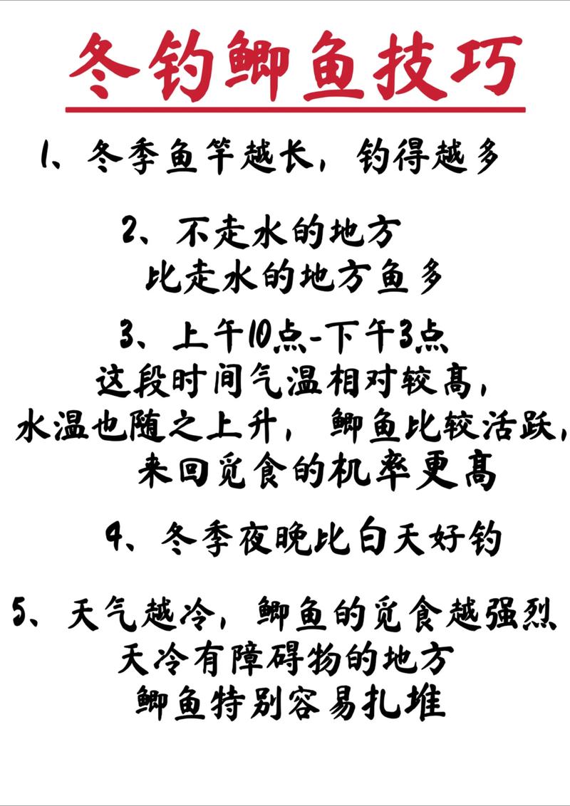 冬钓鲫鱼的八点技巧-图1 冬钓鲫鱼的八点技巧-图1