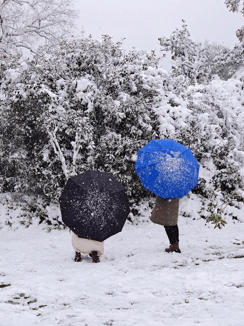 雪天创意摄影-图1