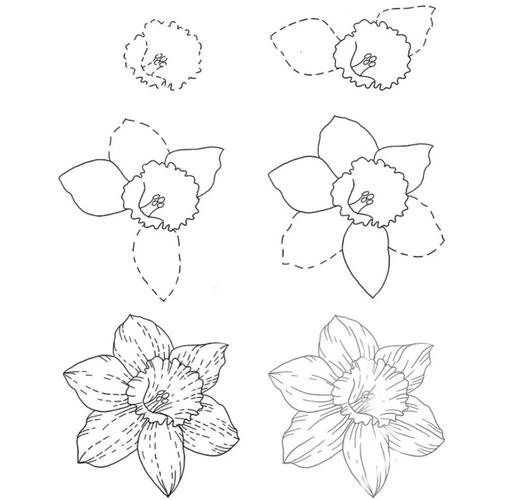 花卉临摹技巧-图1