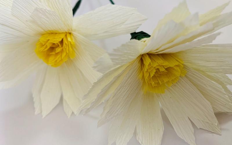 创意小雏菊手工纸花-图2 创意小雏菊手工纸花-图2