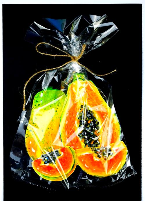 塑料袋的创意-图3 塑料袋的创意-图3