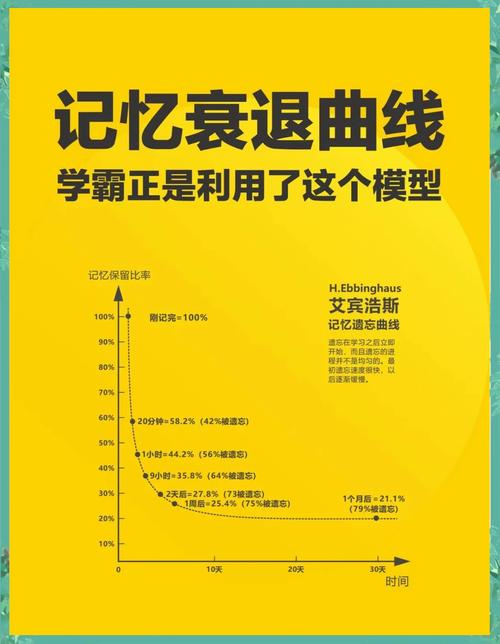 nephew 记忆技巧-图1