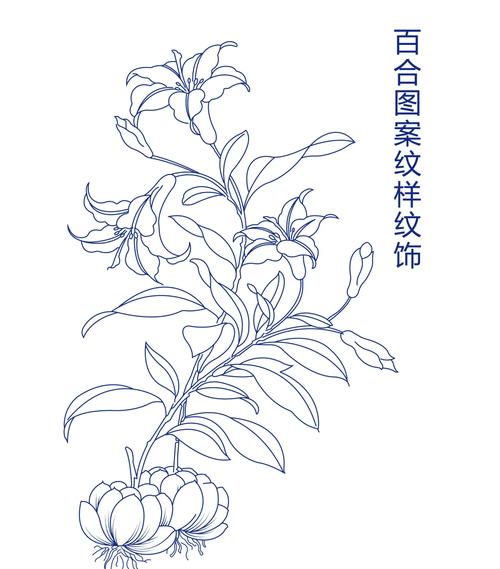 百合花图形创意设计-图1