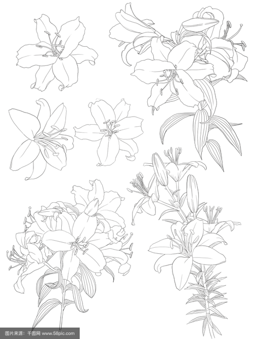 百合花图形创意设计-图3