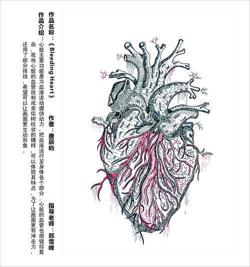 医学创意-图1 医学创意-图1