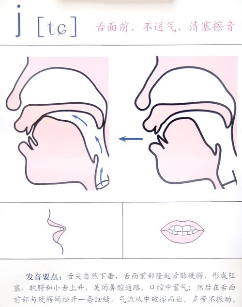 后口腔发音小技巧-图1 后口腔发音小技巧-图1