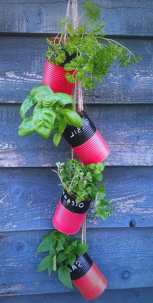 生活小创意旧物改造-图1 生活小创意旧物改造-图1