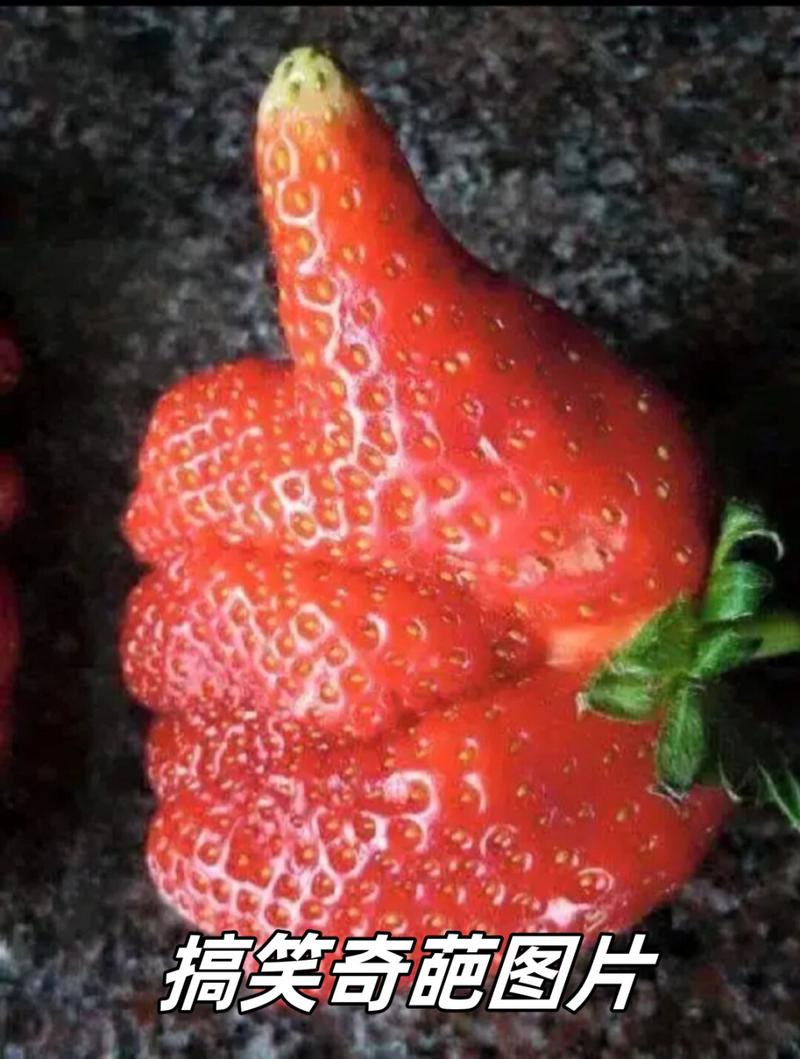 奇葩创意图-图1 奇葩创意图-图1