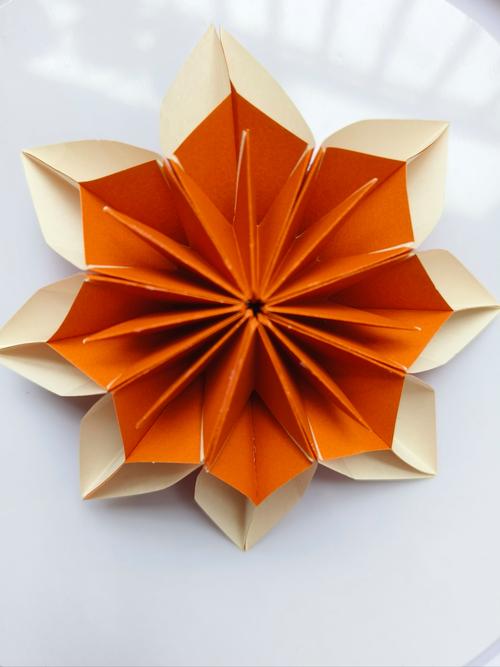 创意叠纸-图1 创意叠纸-图1