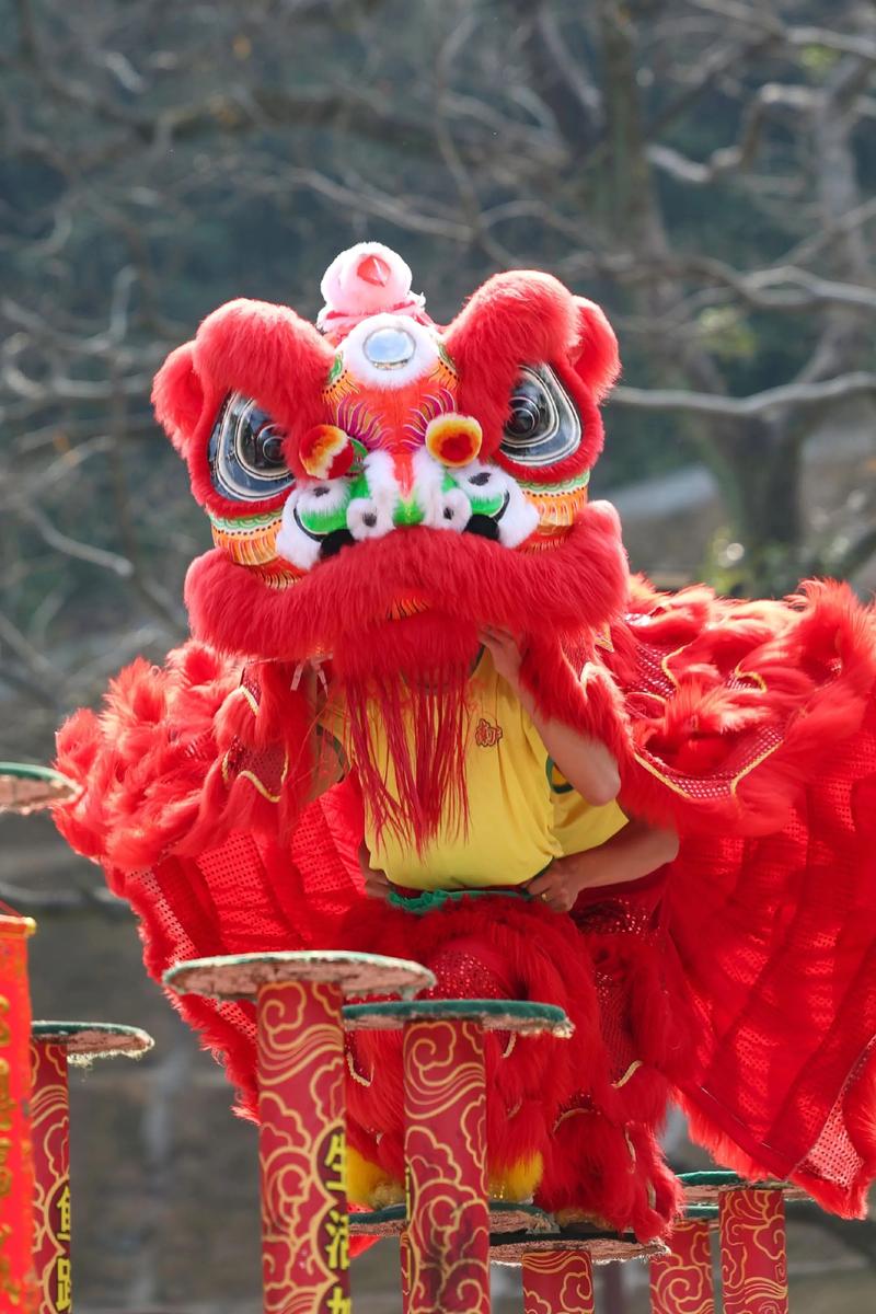 午舞狮摄影技巧-图2 午舞狮摄影技巧-图2