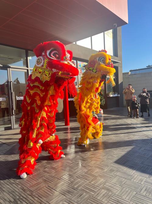 午舞狮摄影技巧-图1 午舞狮摄影技巧-图1