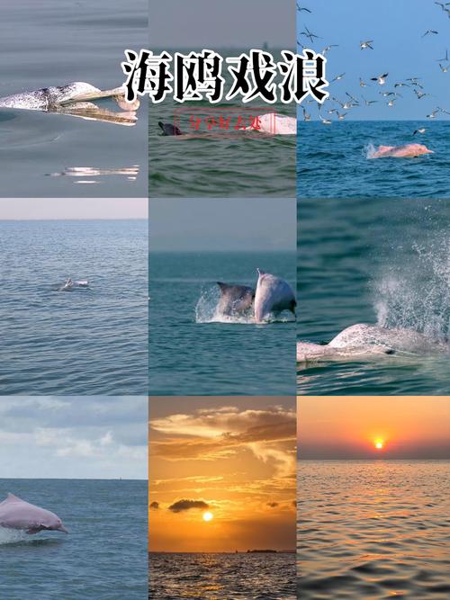 三娘湾技巧-图3