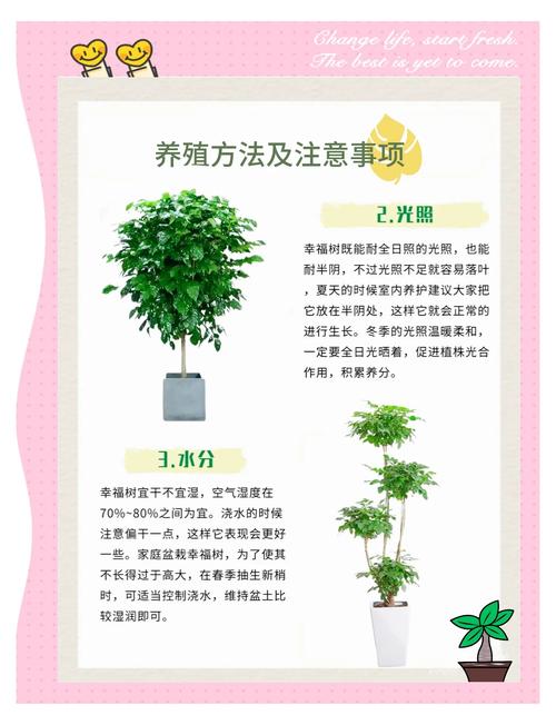 关于植树的技巧-图2 关于植树的技巧-图2