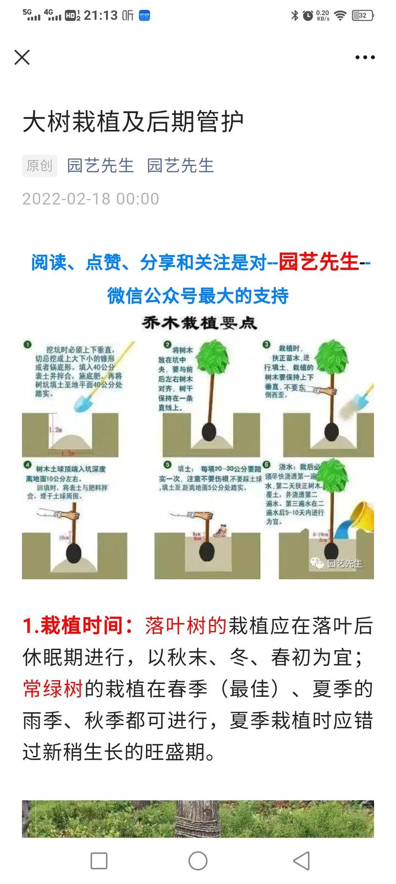 关于植树的技巧-图1 关于植树的技巧-图1