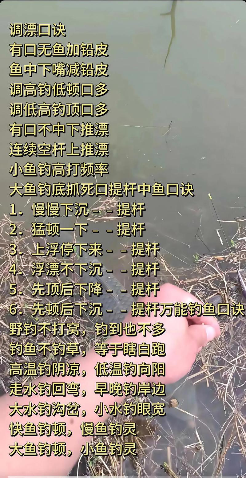 钓鱼吃口轻看漂技巧-图1