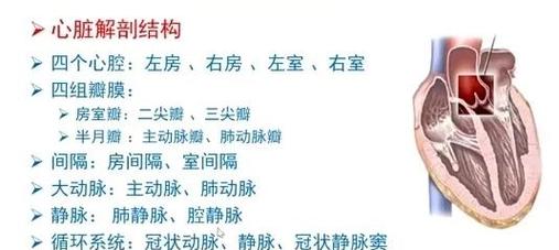 学彩超技巧,学彩超如何入门-图1 学彩超技巧,学彩超如何入门-图1