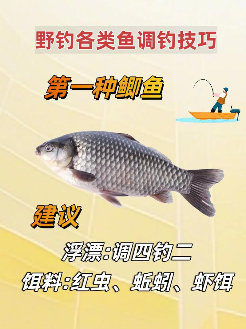 钓加吉鱼技巧，钓加吉鱼技巧视频-图1