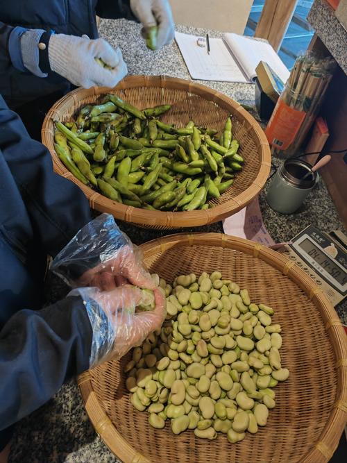 剥豆子的技巧,剥豆子的技巧视频-图1 剥豆子的技巧,剥豆子的技巧视频-图1