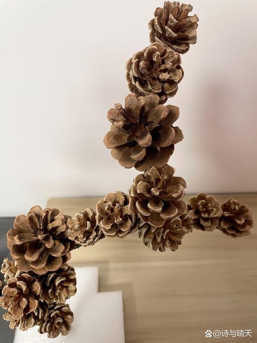 松树球创意，松树球的手工创意-图3