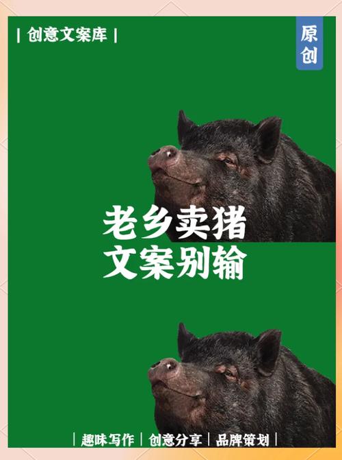 创意猪肉广告，创意猪肉广告牌-图2