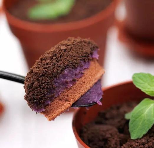 盆栽蛋糕能吃吗？植物是假的吗？-图3