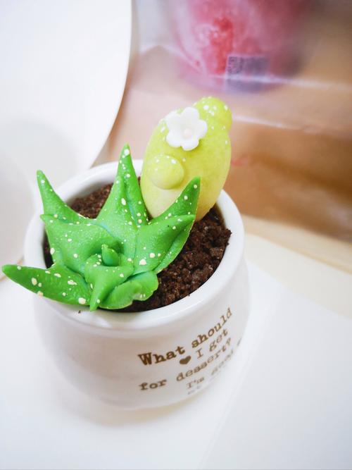 盆栽蛋糕能吃吗？植物是假的吗？-图1