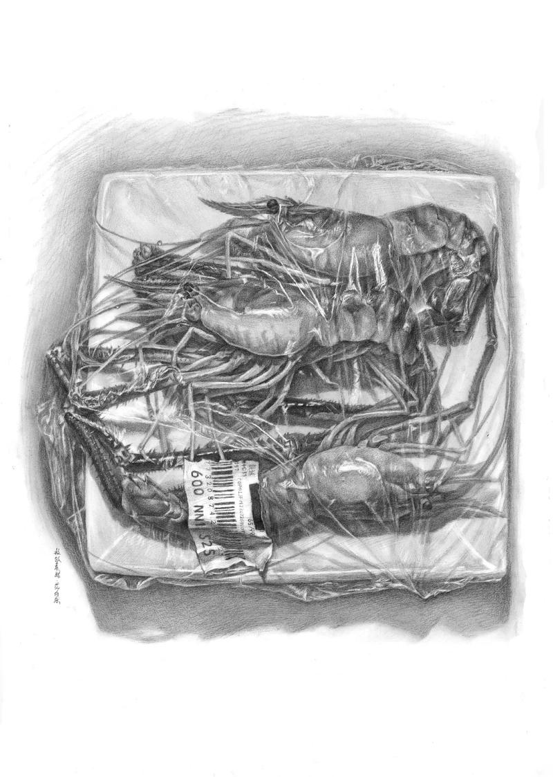 创意速写虾,速写虾的图片-图1 创意速写虾,速写虾的图片-图1