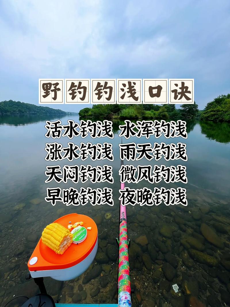 阴天钓鱼技巧，阴天钓鱼技巧十句口诀-图2