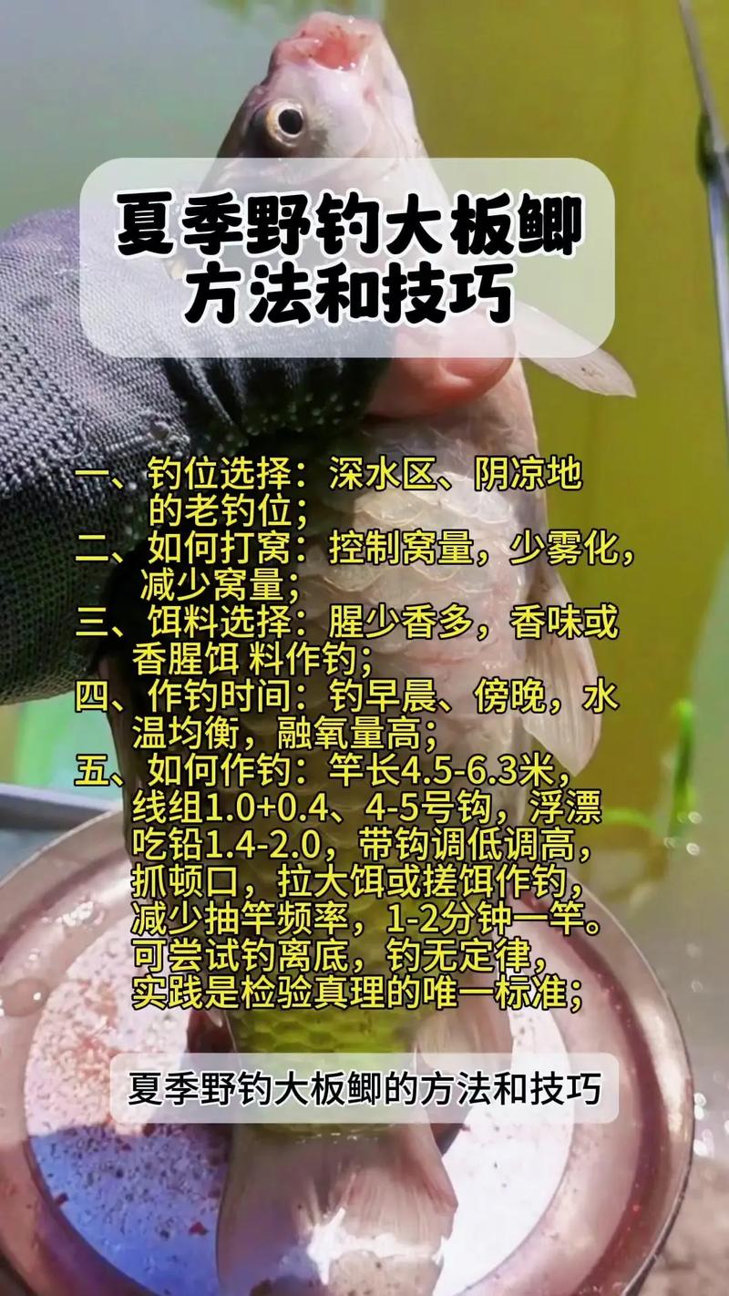 阴天钓鱼技巧，阴天钓鱼技巧十句口诀-图3