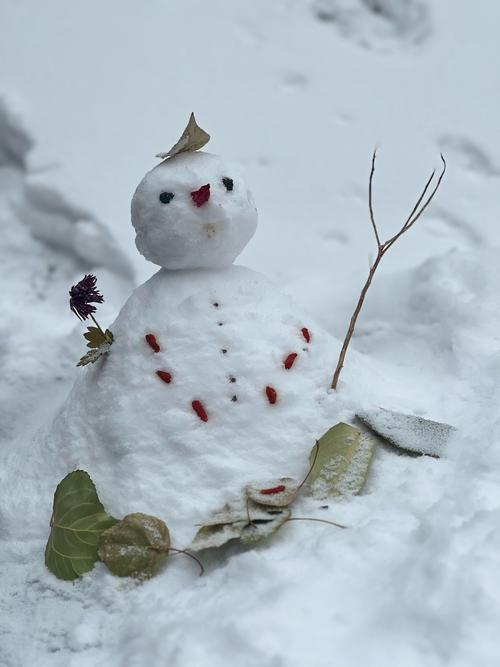 雪儿有创意，雪儿超可爱-图1