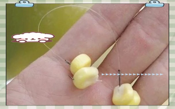 颗粒钓草鱼如何提高中鱼率?-图1 颗粒钓草鱼如何提高中鱼率?-图1