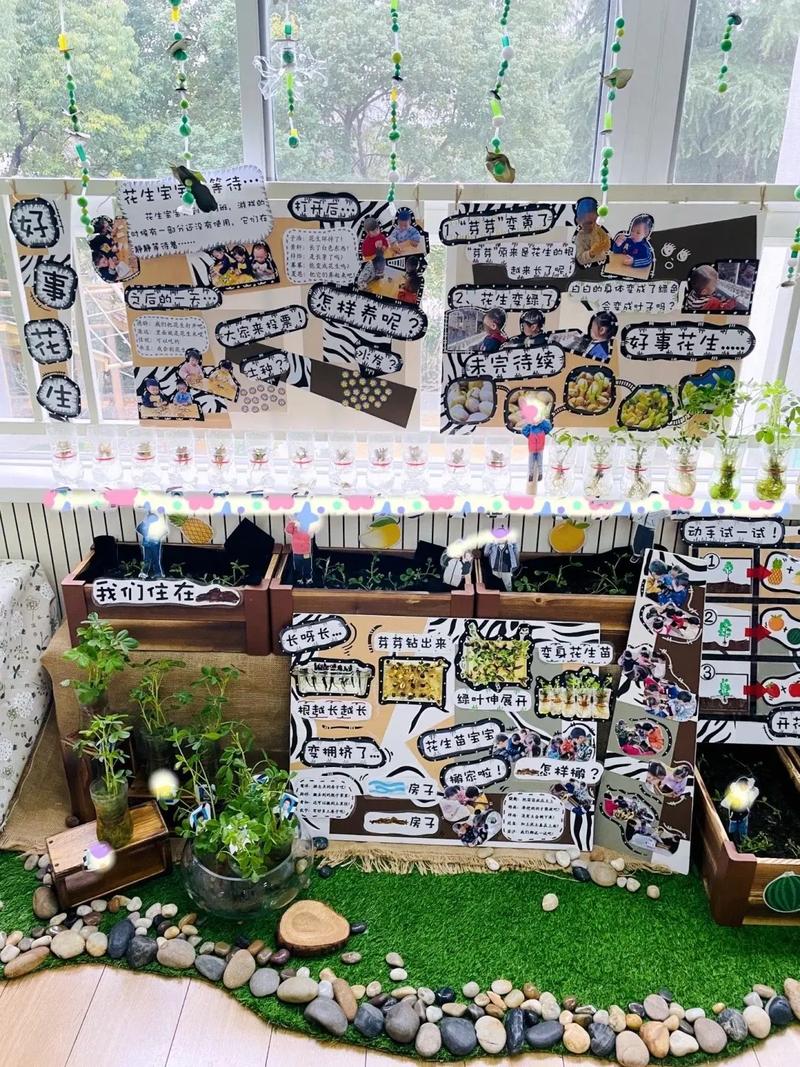 幼儿园创意自然角-图3