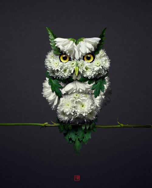 P创意图案，创意p图图片-图2