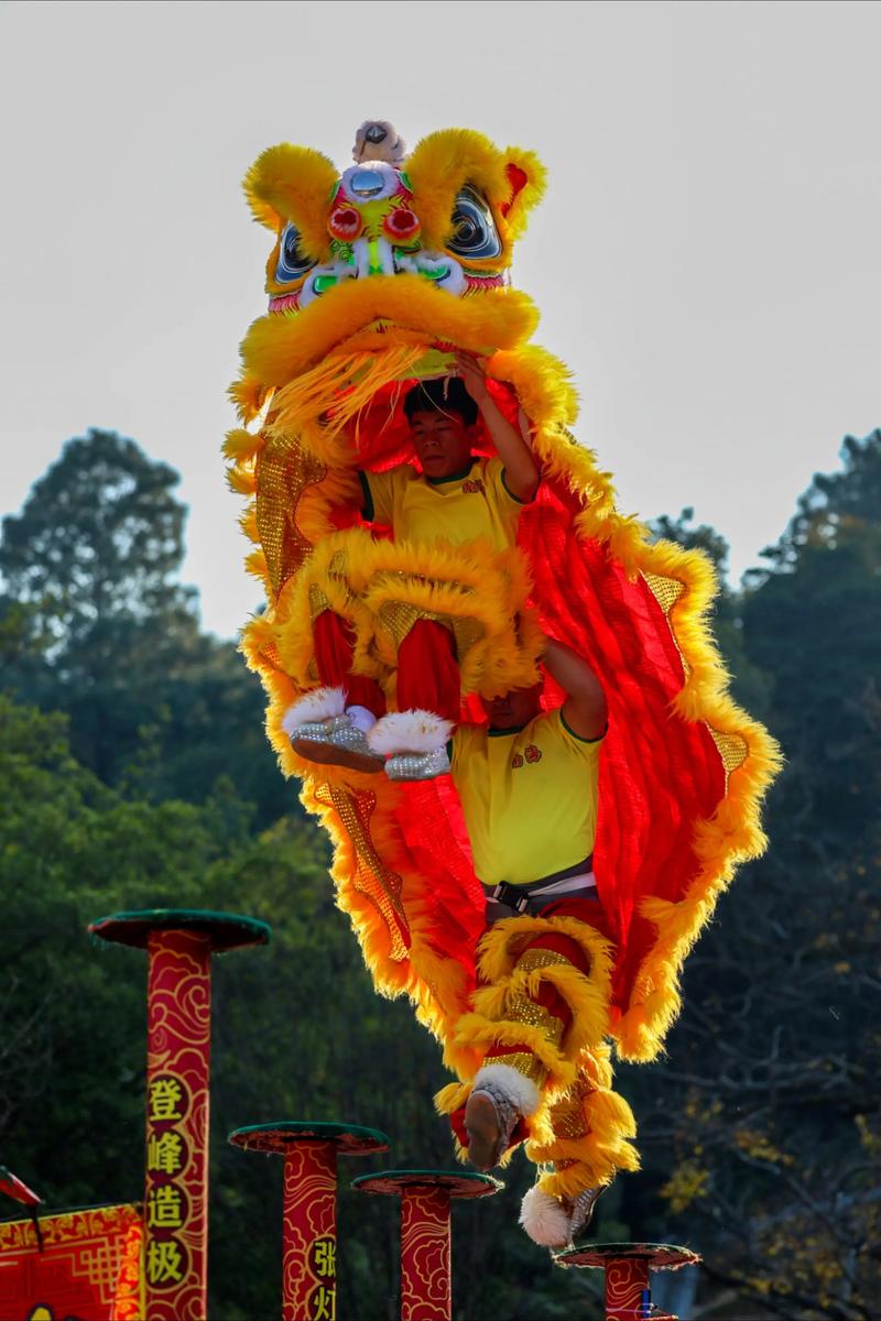 午舞狮摄影技巧,舞狮 摄影-图1 午舞狮摄影技巧,舞狮 摄影-图1