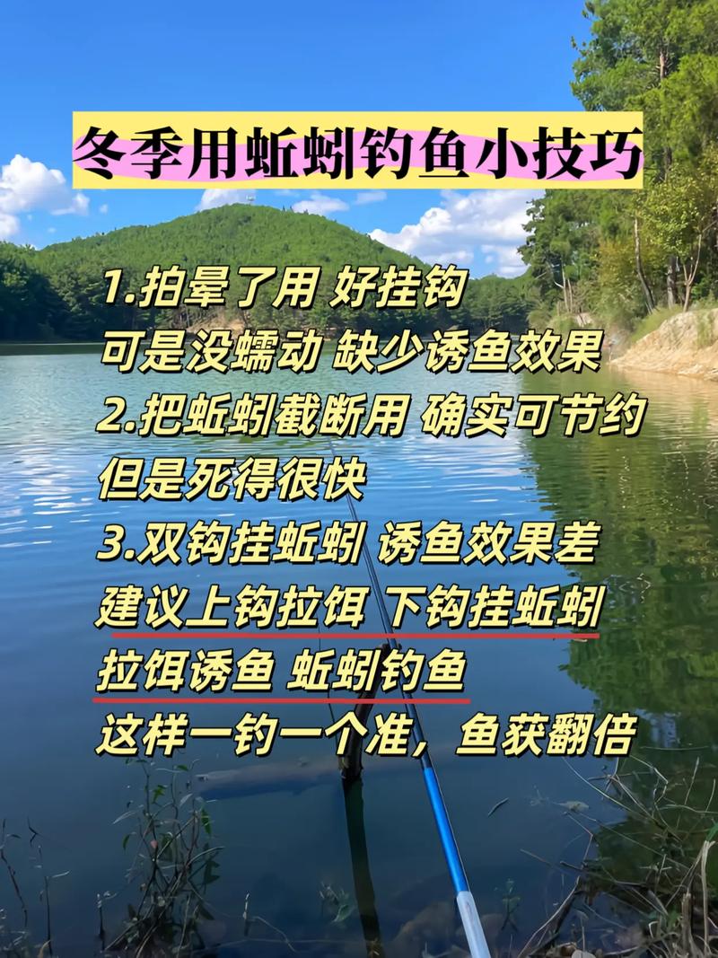 广东冬季钓鱼技巧有哪些?-图1 广东冬季钓鱼技巧有哪些?-图1