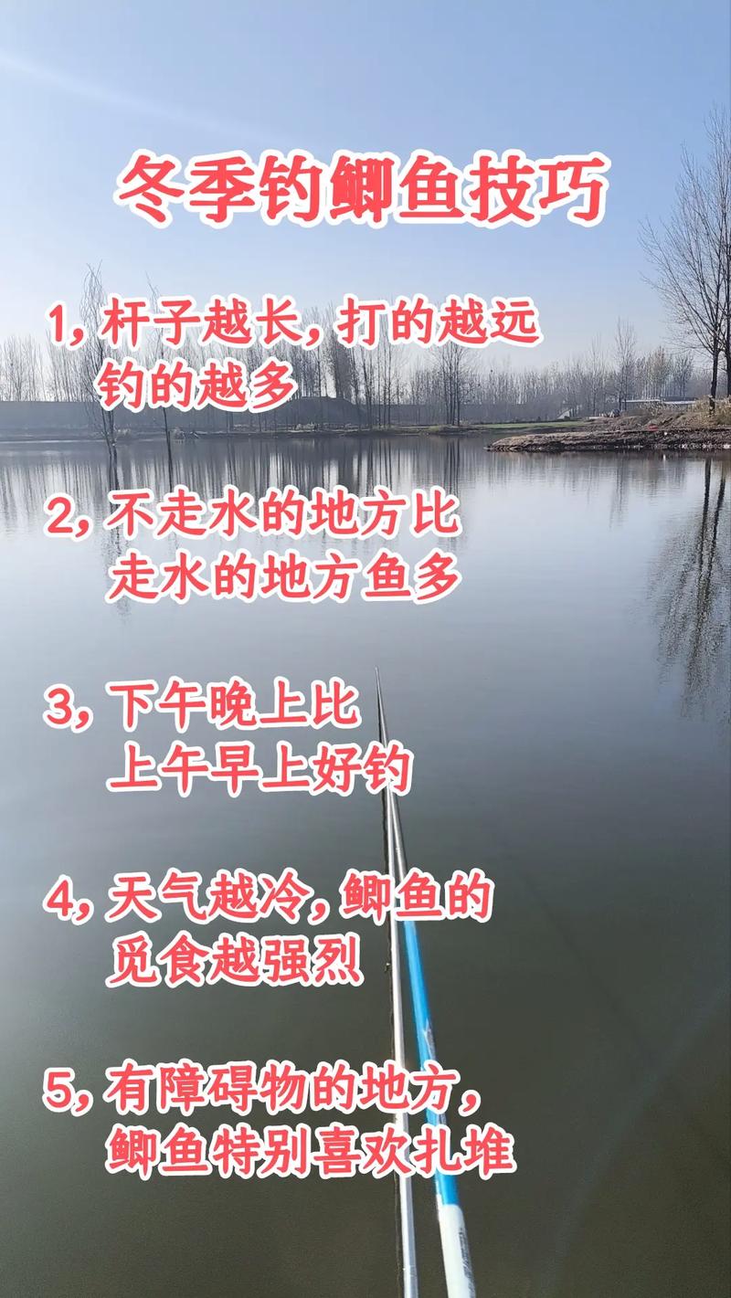 广东冬季钓鱼技巧有哪些?-图2 广东冬季钓鱼技巧有哪些?-图2
