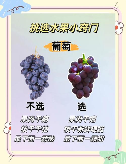 卖水果的语言技巧-图3 卖水果的语言技巧-图3