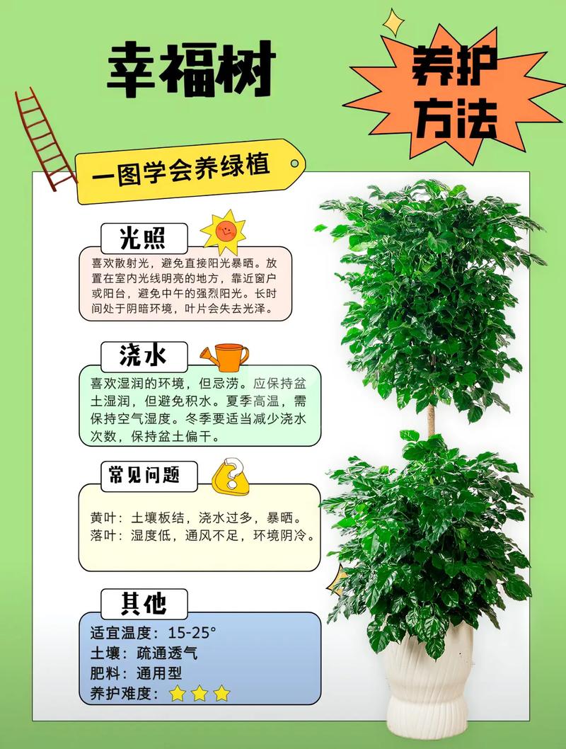 关于植树的技巧，关于植树的技巧和方法-图2