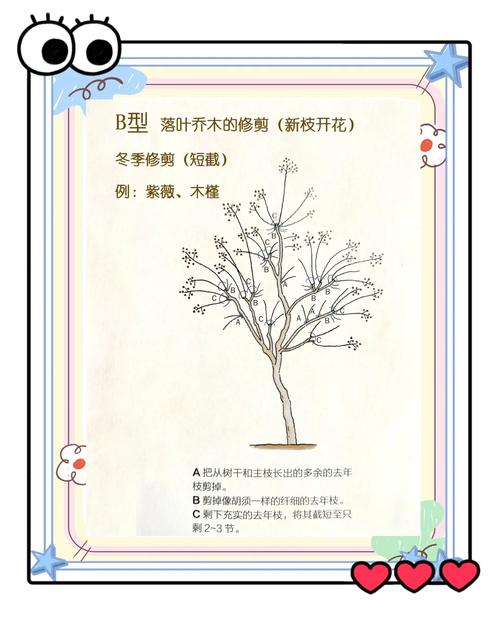 关于植树的技巧，关于植树的技巧和方法-图1